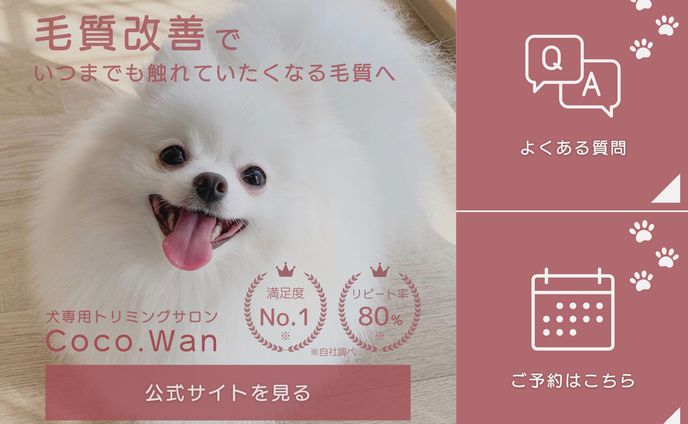 twitter、lpデザイン