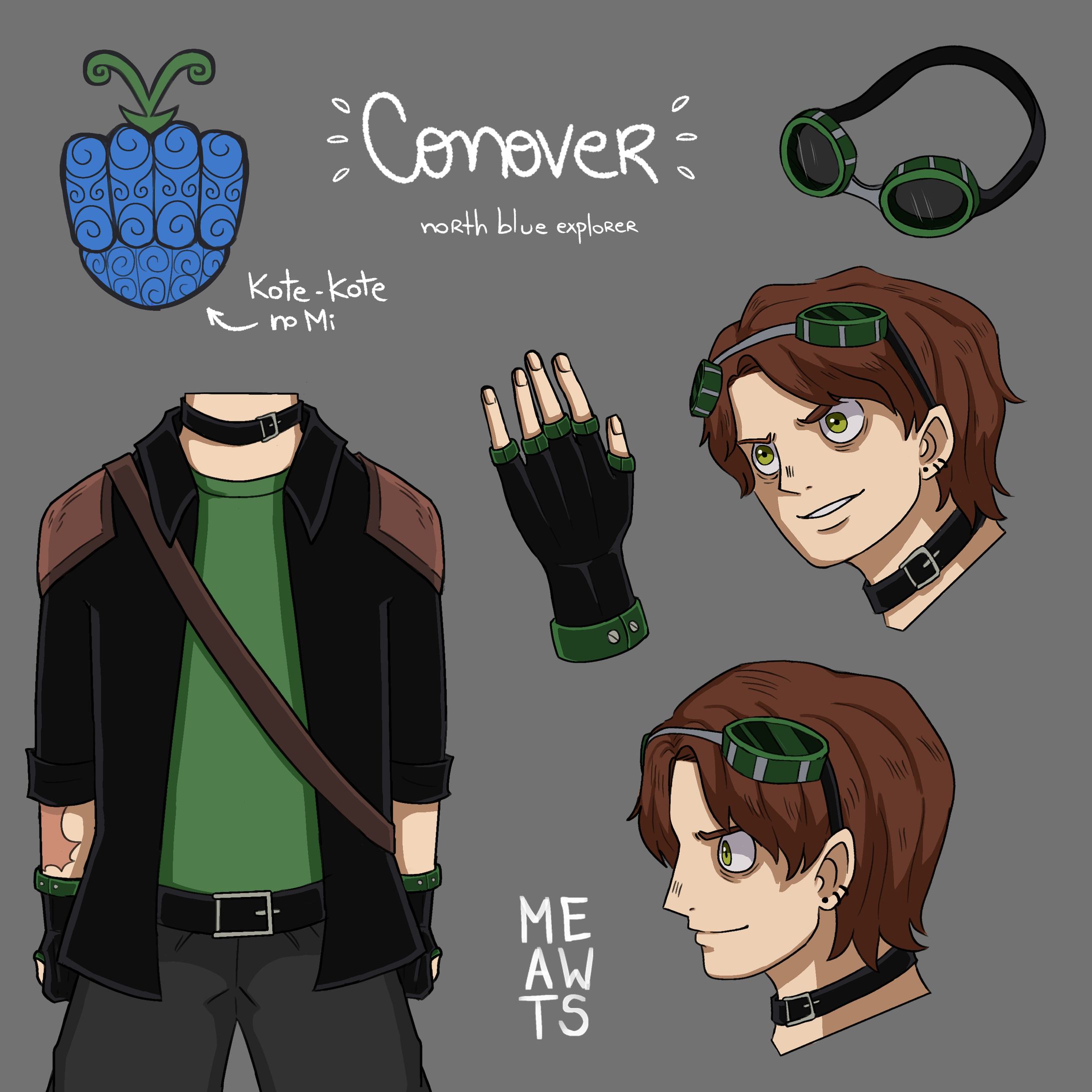 Reference Sheet One Piece style OC-1