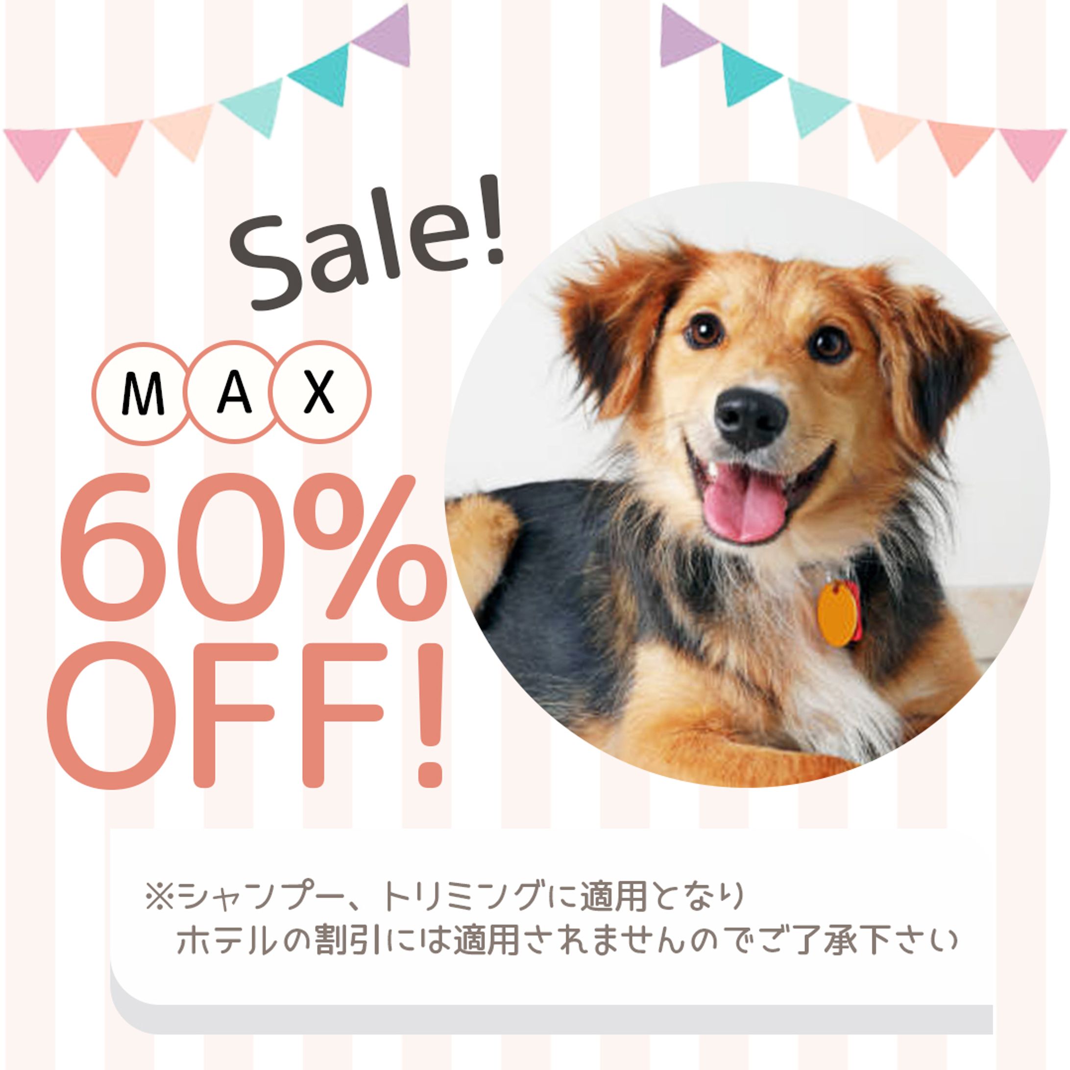 （実案件）インスタフィード：ドッグサロン-1