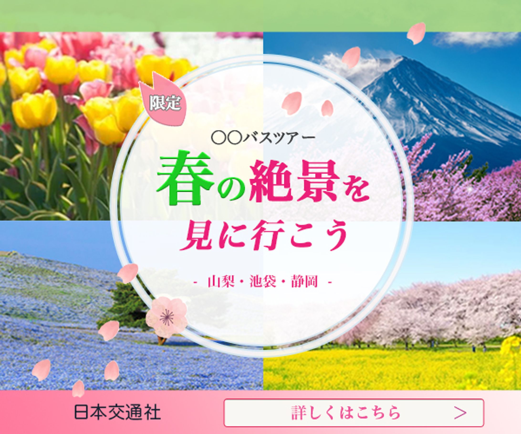 バナー-1