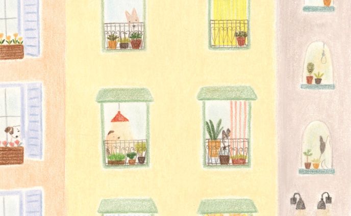 Dog apartment