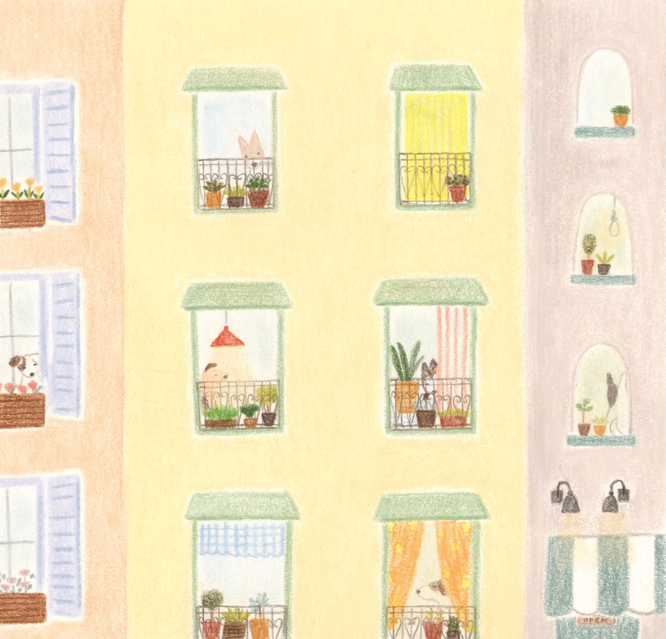 Dog apartment-1