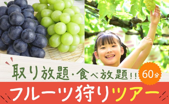 旅行系フルーツ狩りツアーバナー