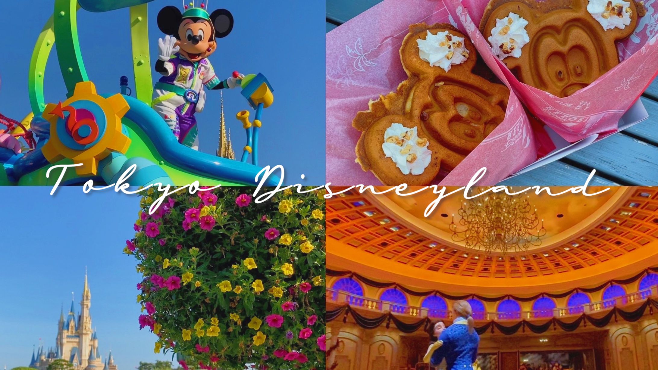【サムネ】Tokyo Disney Land-1