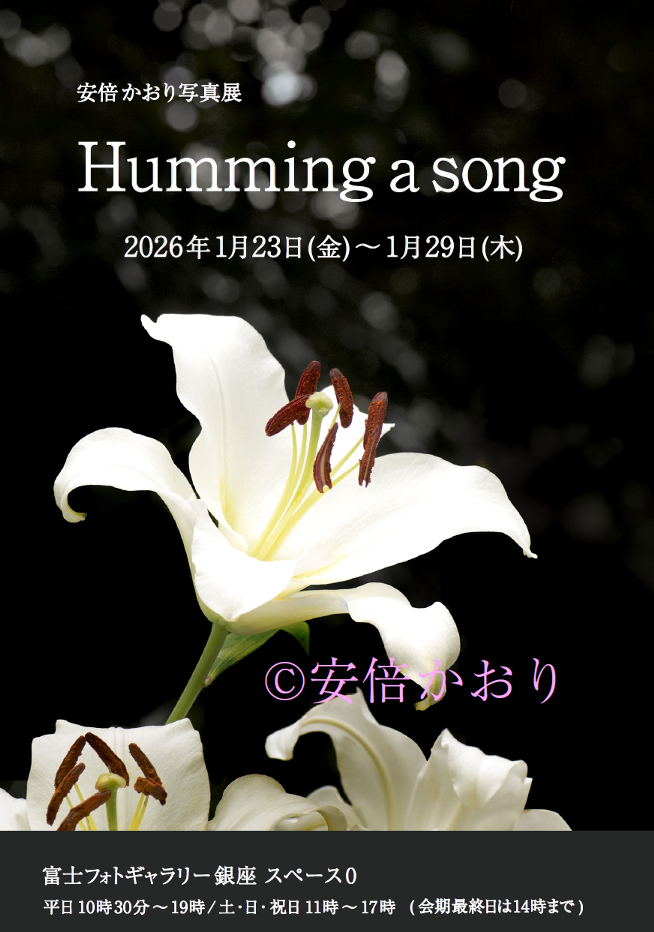 安倍かおり写真展  「Humming a song」-1