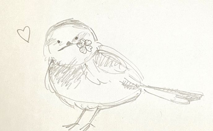 Sketch-ことり