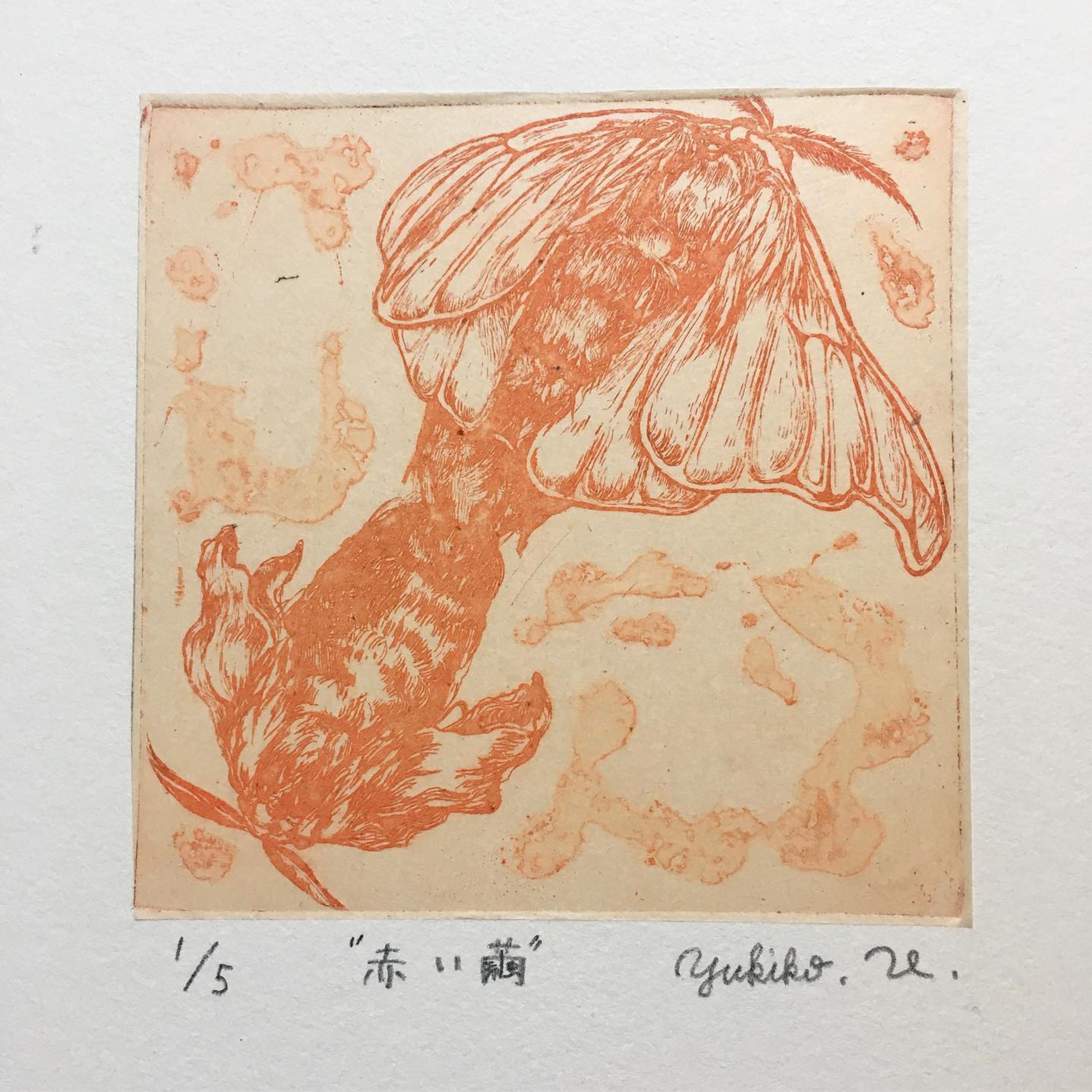 赤い繭
10㎝×10㎝
#etching
#aquatint

一昨日くらいから、出勤停止になり、約1ヶ月間の自宅待機が始まってますー:;(∩´﹏`∩);: どうなる日本

#銅版画
#雁皮刷り-1