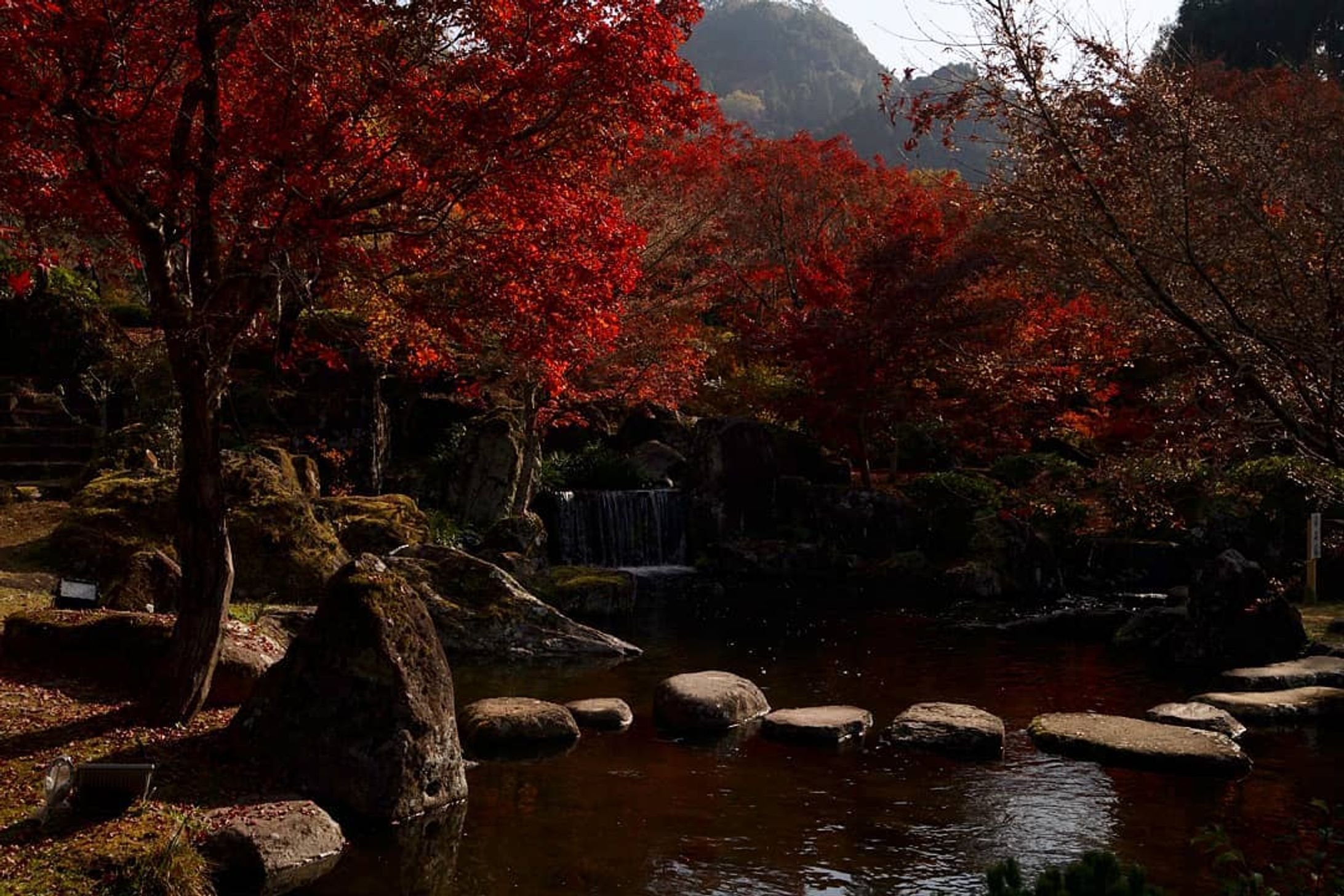 朗景
#CanonEOS5D#大分県#中津市#耶馬渓町#渓石園#紅葉#風景#庭園#オール作品#インスタ編集版#japan#oitaprefecture #nakatsucity#landscape#photography-1