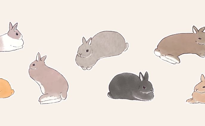 【創作】うさぎ