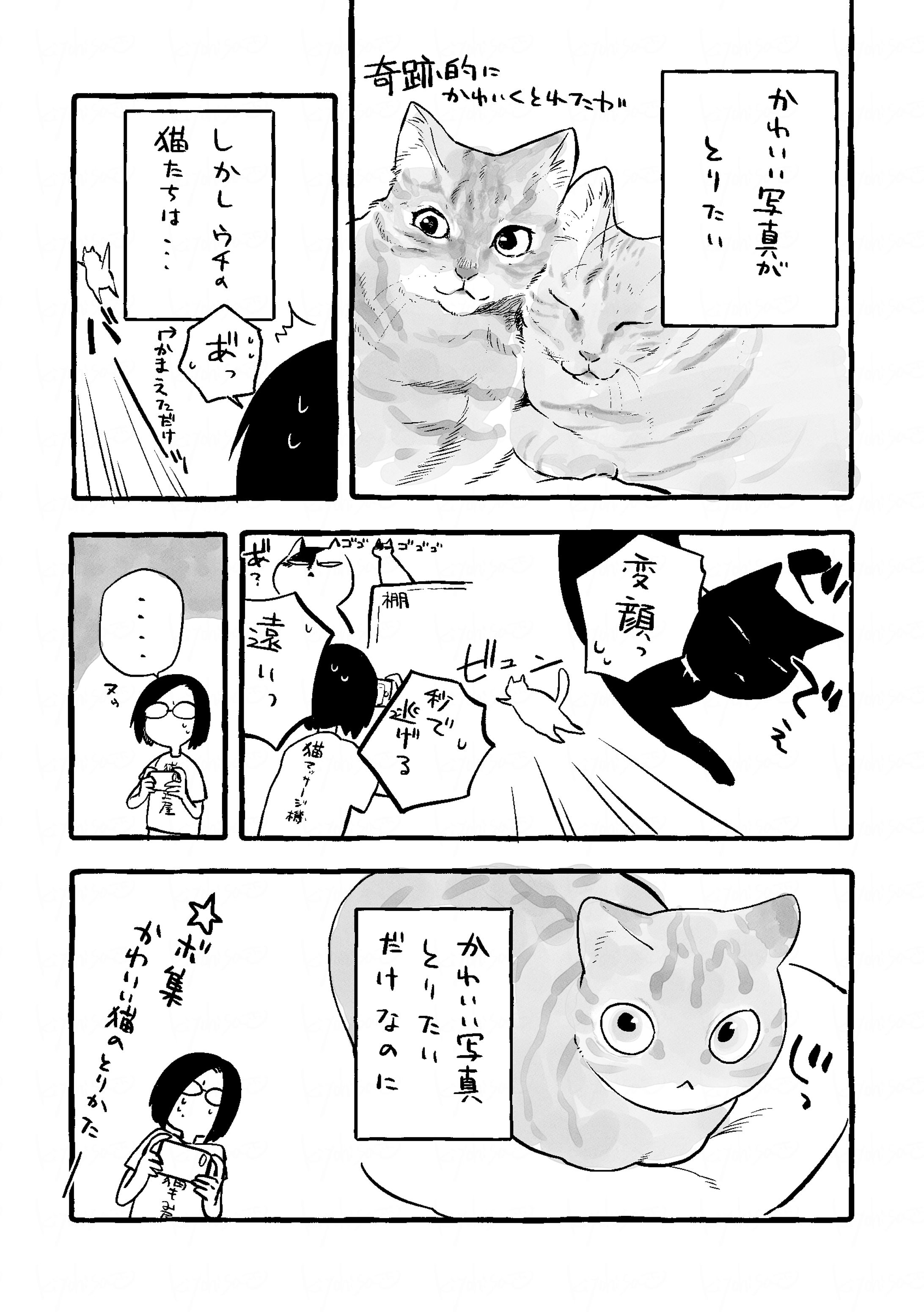 猫漫画-1