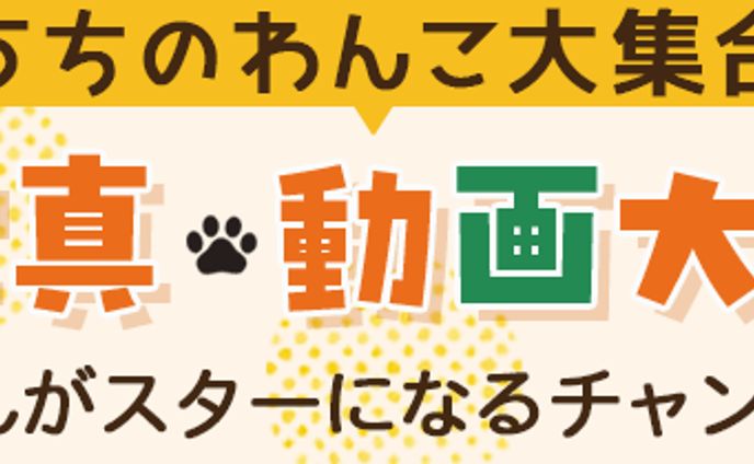 イベント出演、my soundworks
