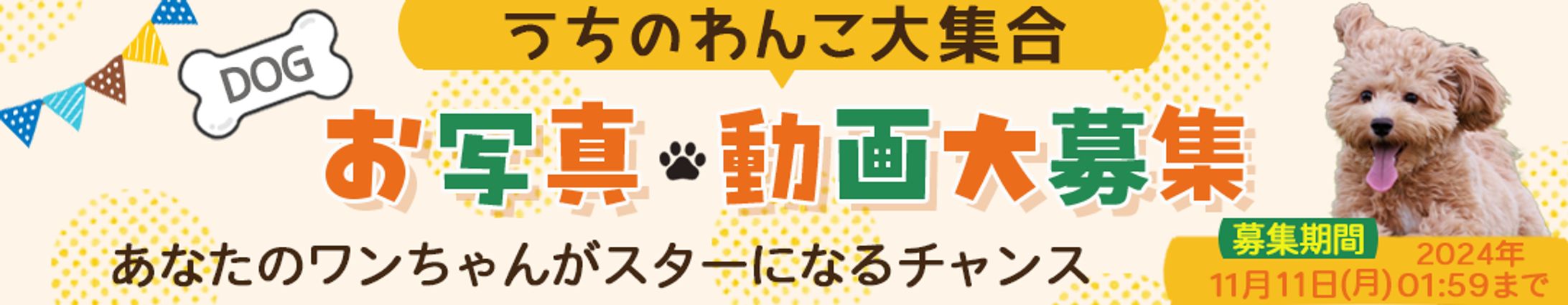 【バナー】イベント-1