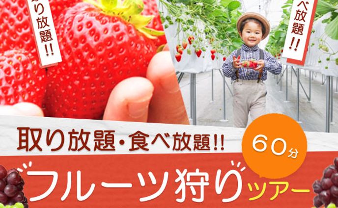 バナー：フルーツ狩り