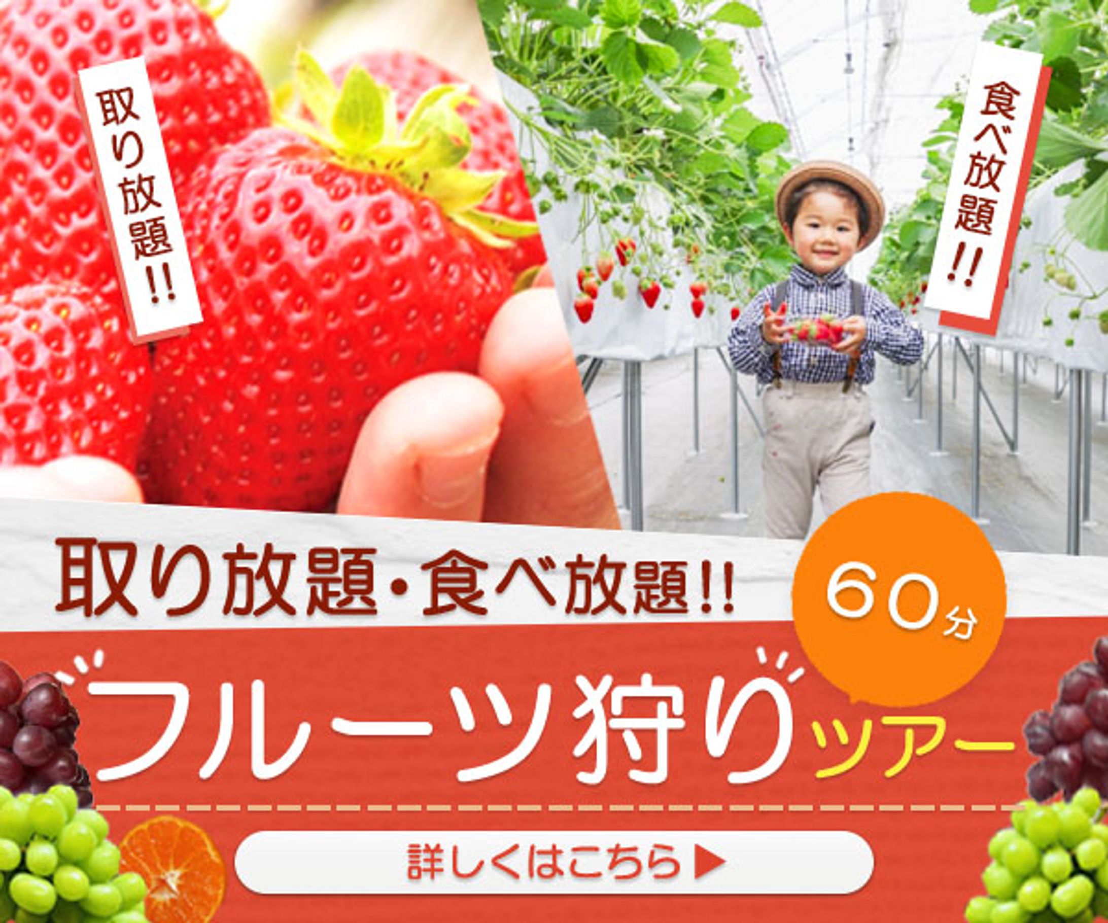 バナー：フルーツ狩り-1