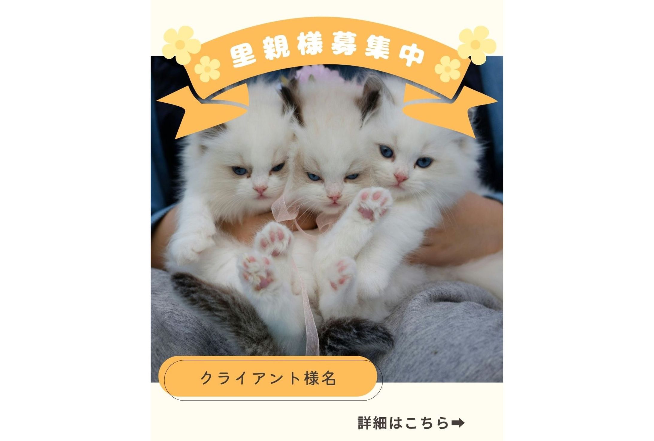 【クライアントワーク】Instagram投稿画像-1