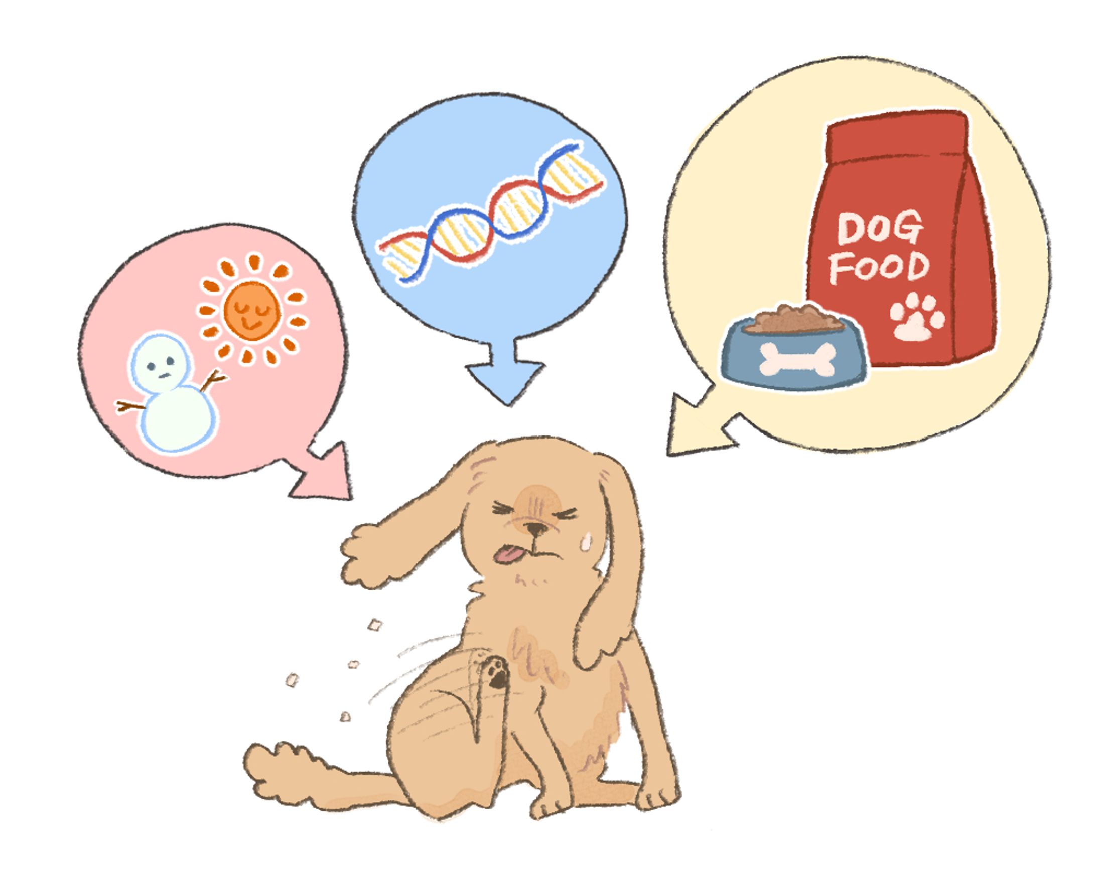 【ペットフード通販会社様】定期購入促進ステップメール用挿絵制作-1