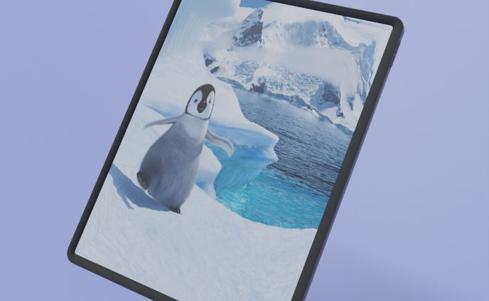 iPad