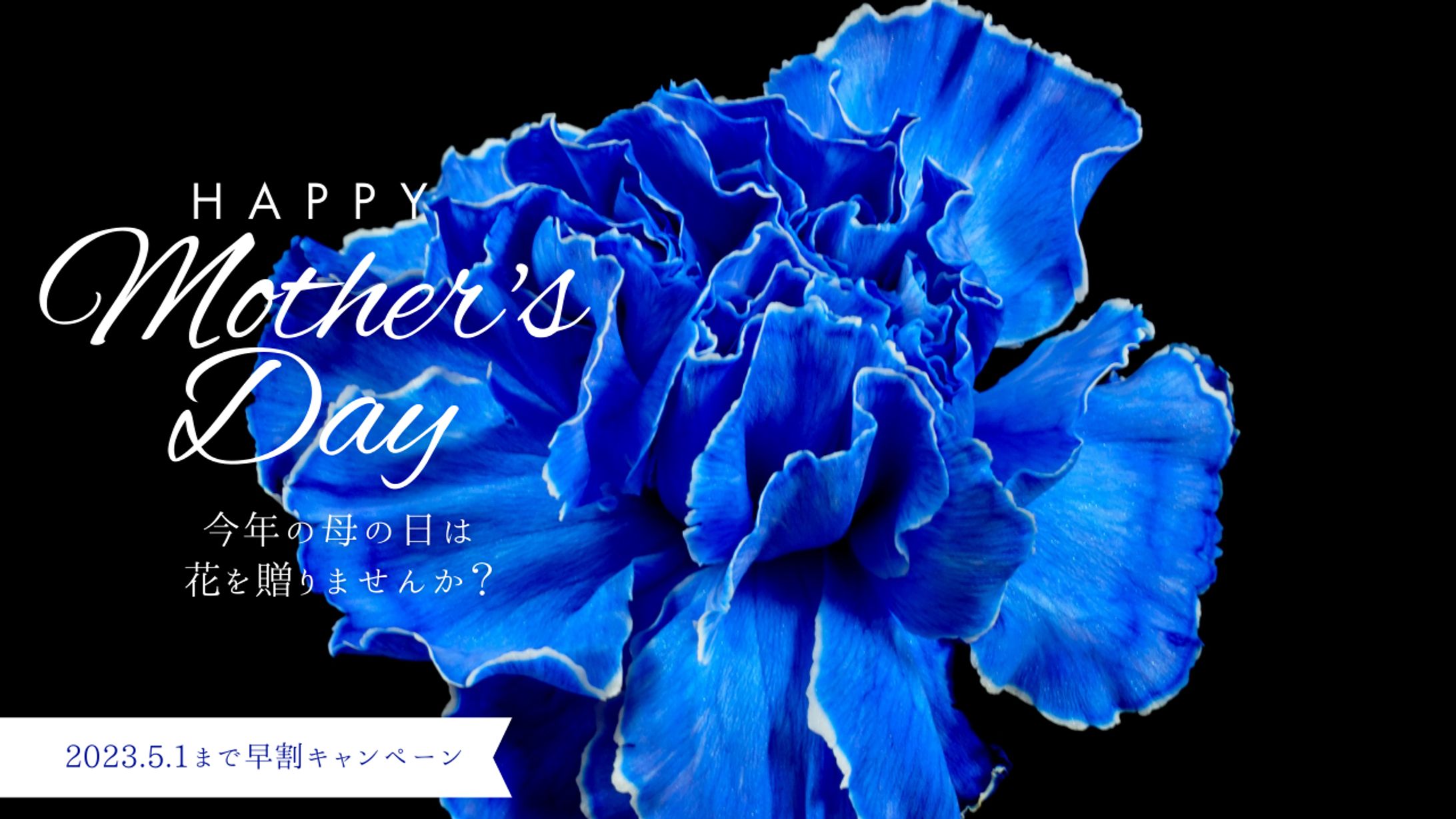 母の日バナー広告-1