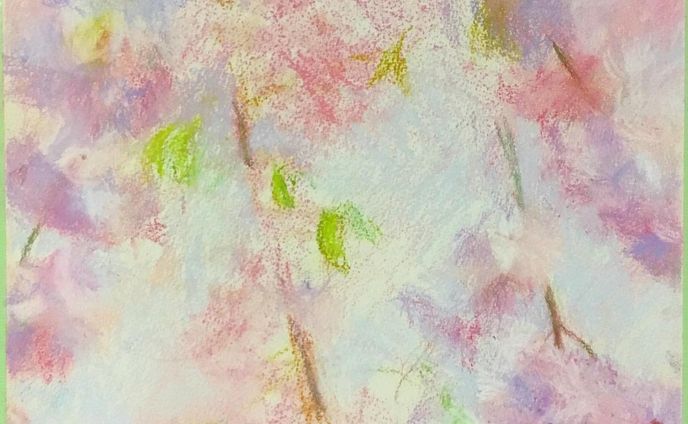 猛暑が続いていますが　#枝垂れ桜　です

#桜　#パステル
#drawing #Illustration #illust #watercolor  #dailyart #graphic
#artwork #artist #artsy #artistic #paint #painting #watercolorpainting #colors #color #pencil 
#一个例证  #图片 #イラスト #水彩 #水彩画 #일러스트 #오에카키 #데생 
#宇野亜喜良　#竹久夢二