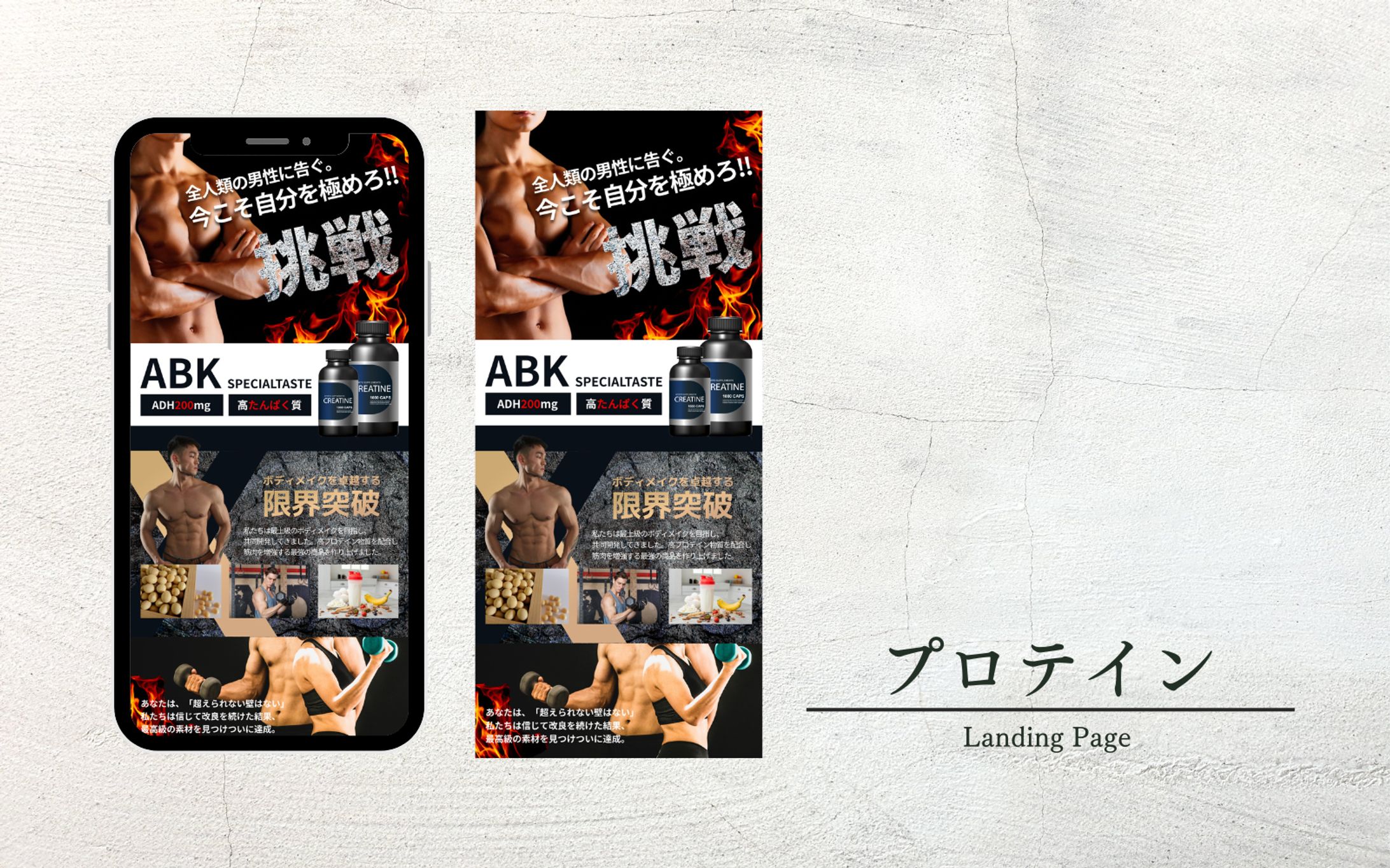 プロテインLP（FV）-1