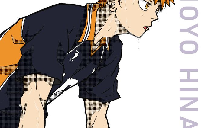 HQ!! Shoyo Hinata 