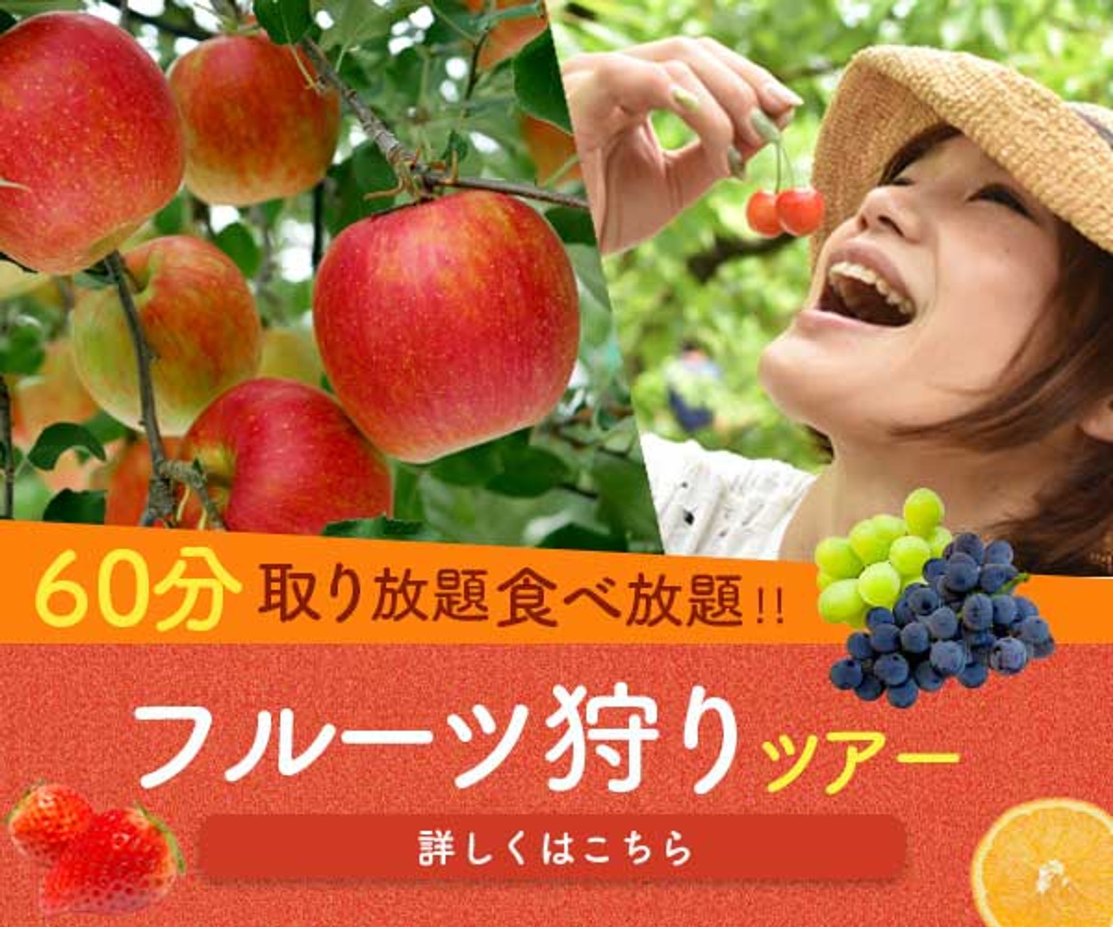 フルーツ狩り バナー-1