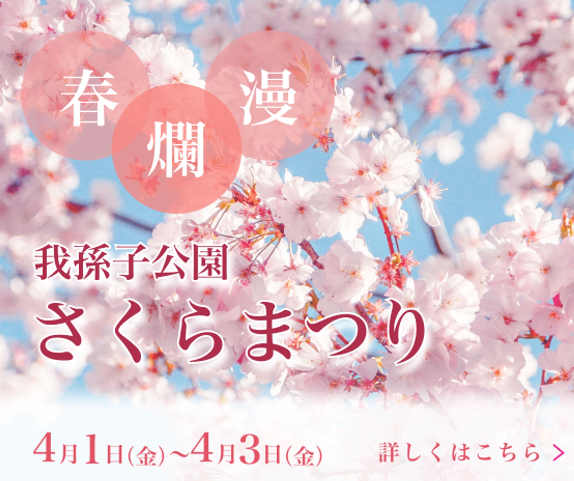 さくらまつり-1