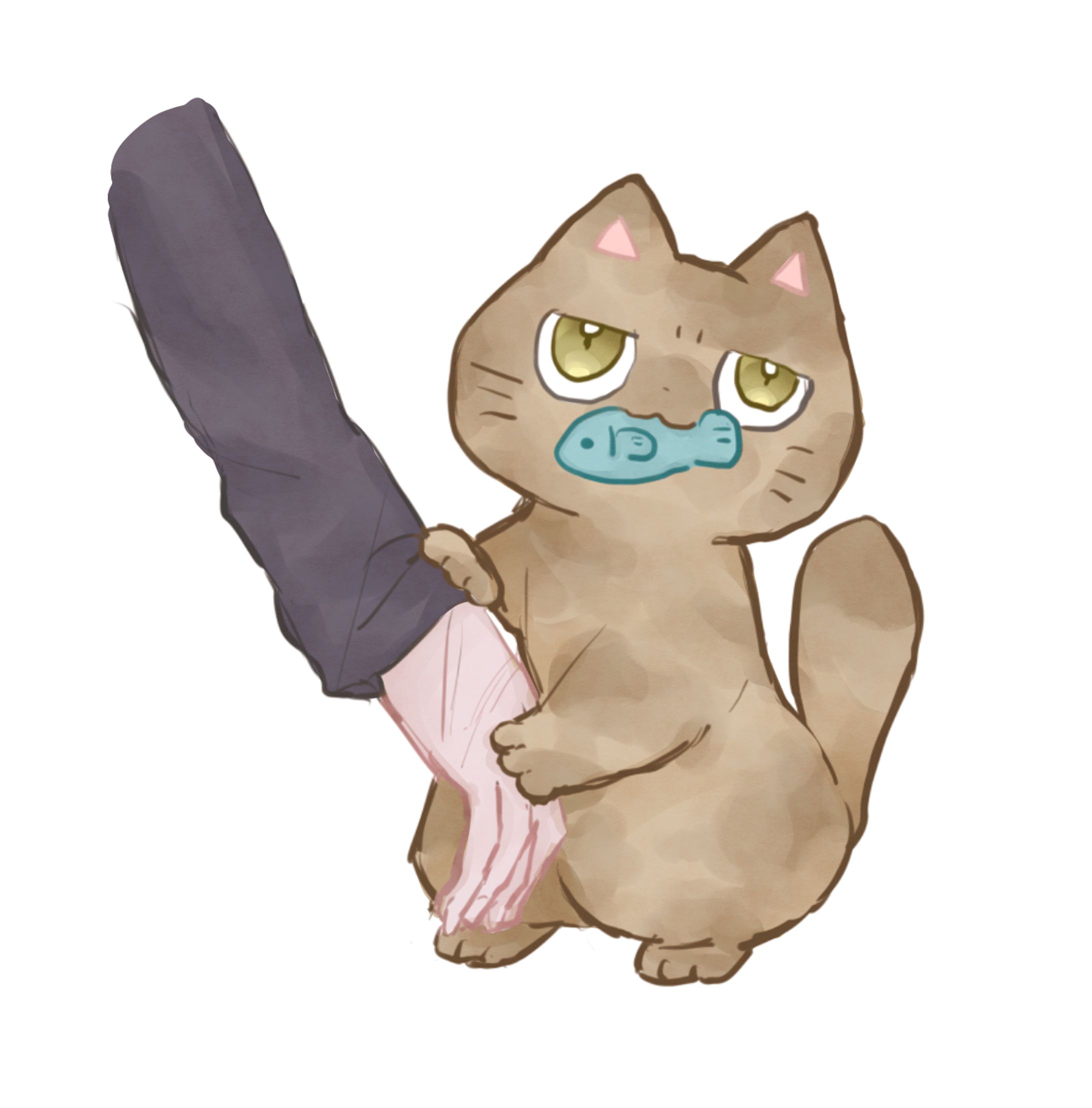 ねこちゃんまとめ-1