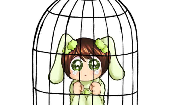 HakuUsa