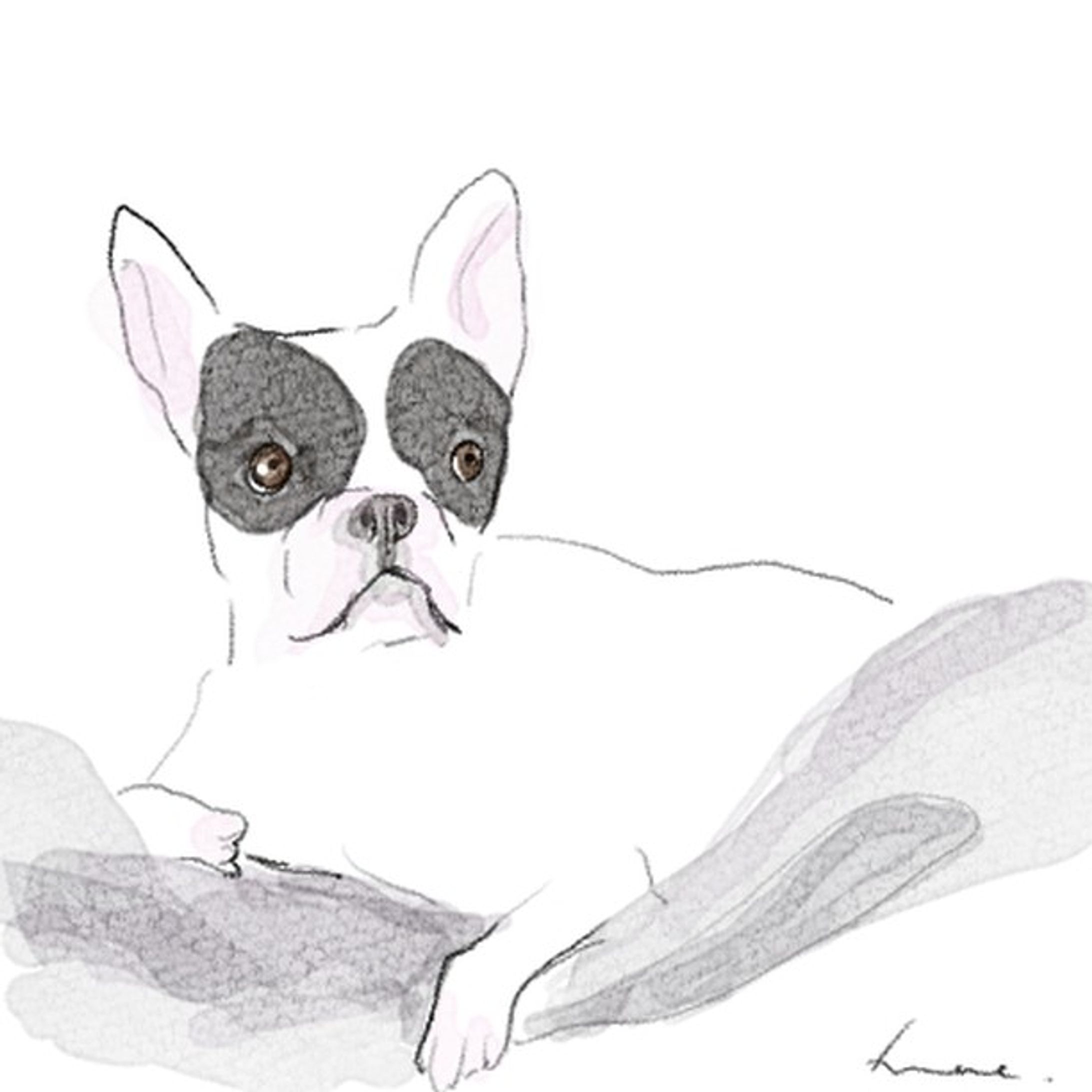 #illustration #frenchbulldog #フレンチブルドッグ-1
