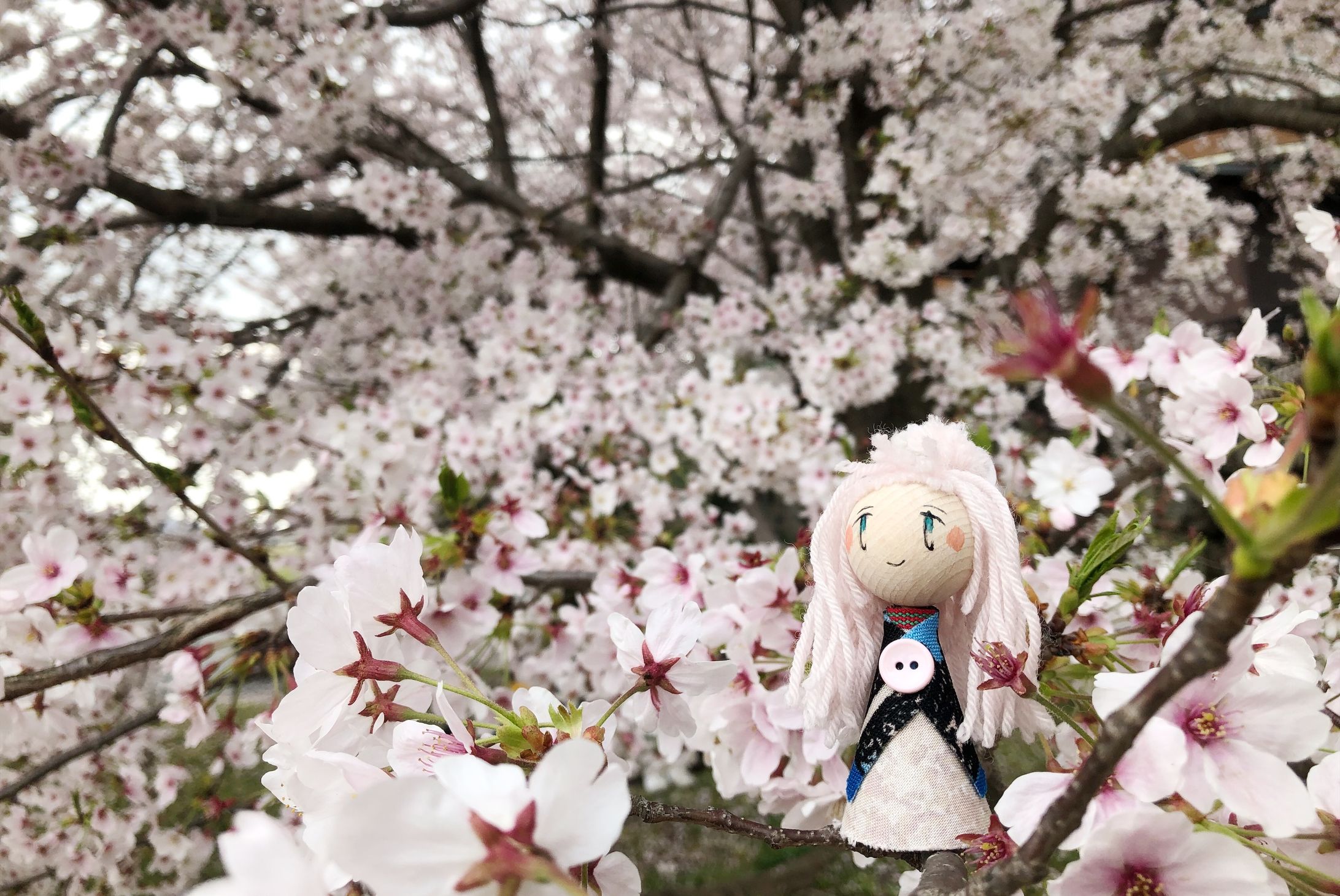 picnic-1