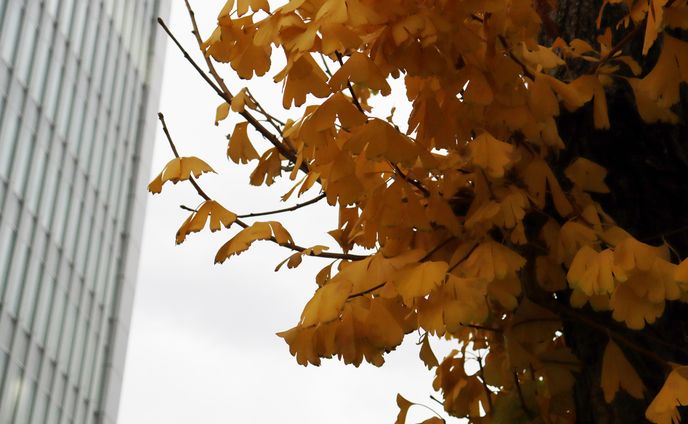 2023.12.16 白川公園