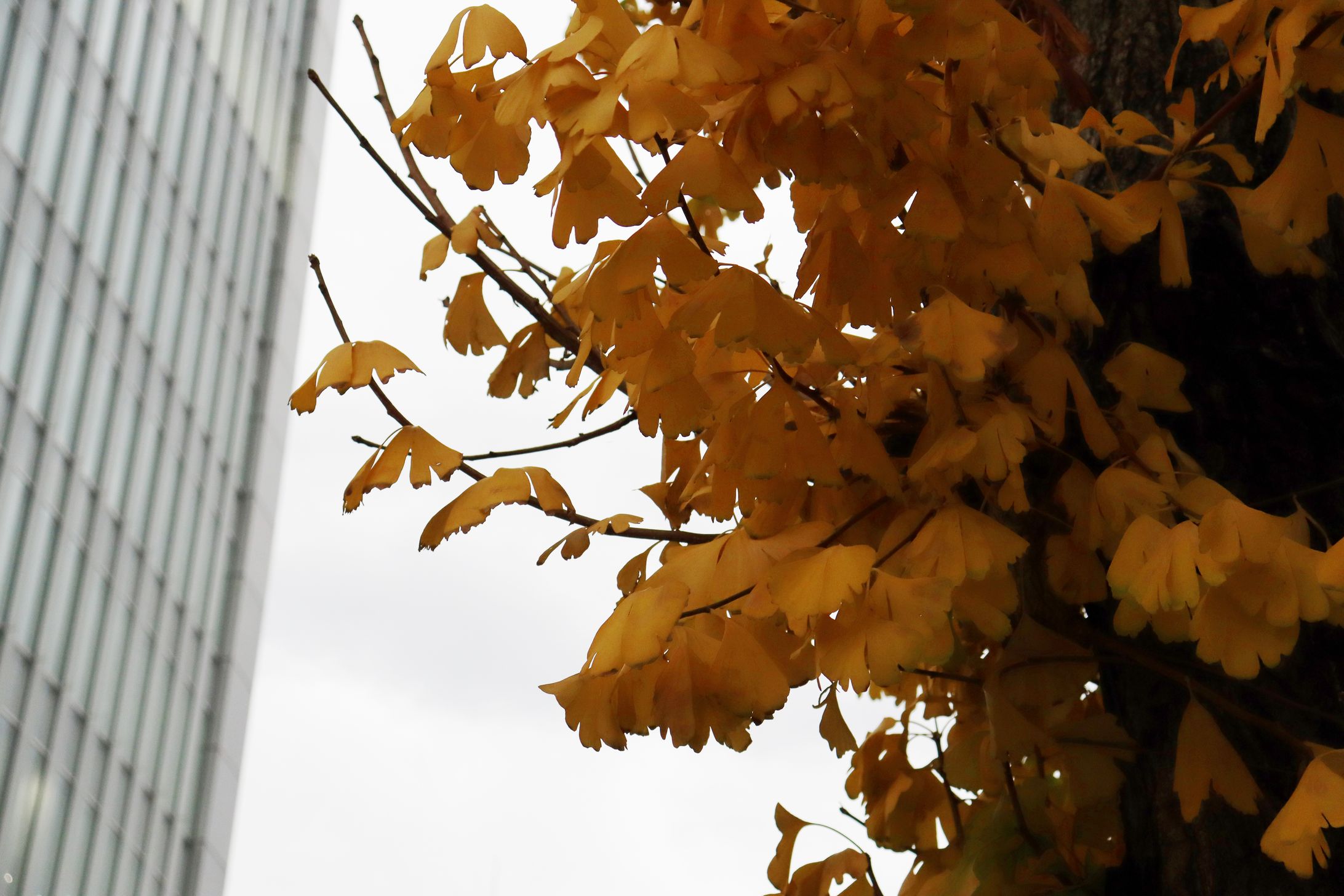 2023.12.16 白川公園-1