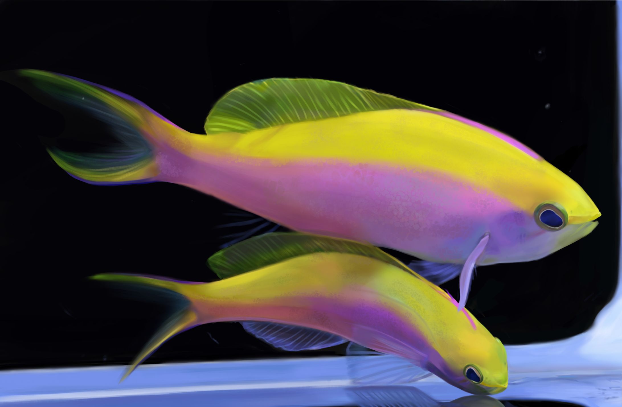 【デッサン】魚-1