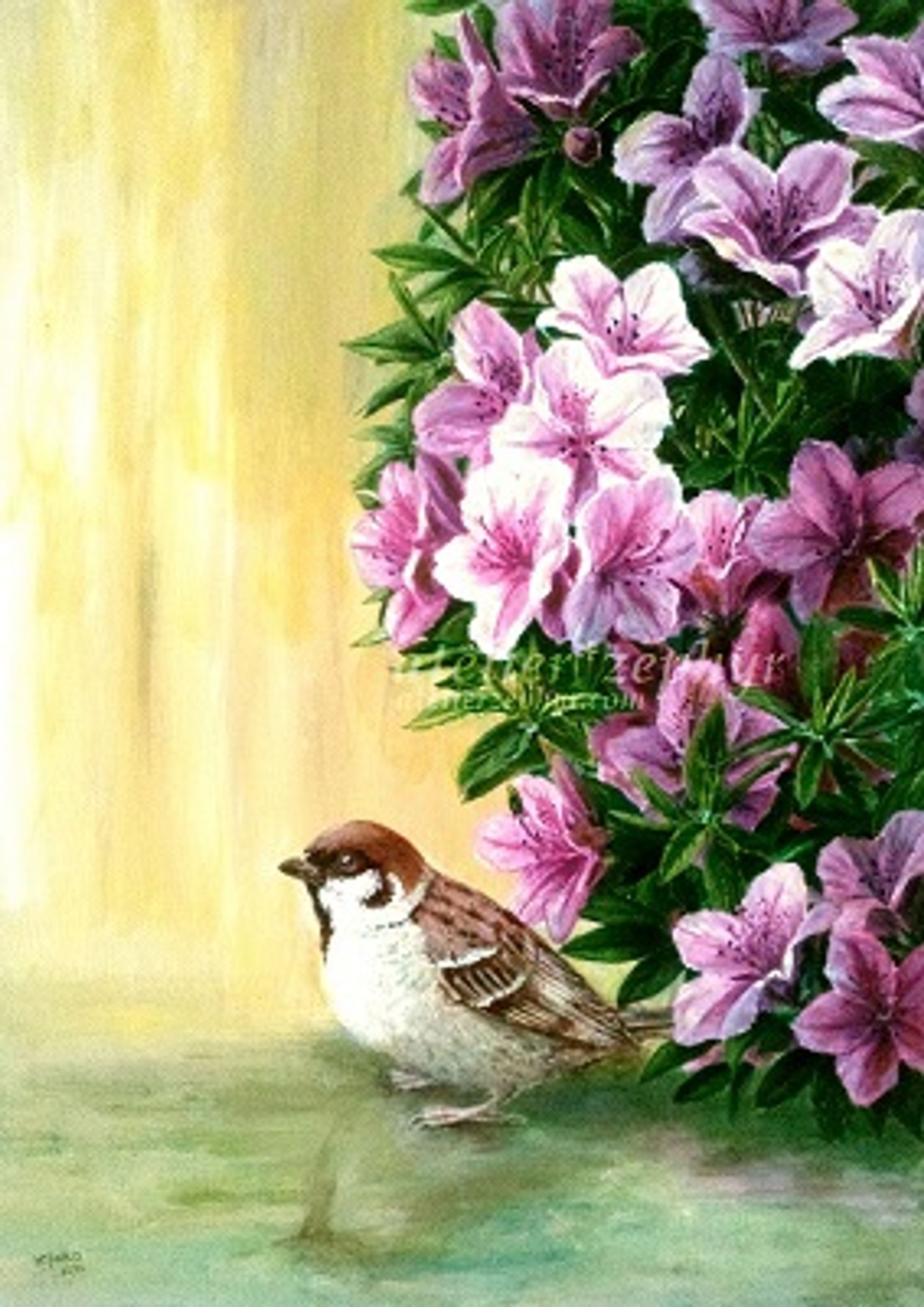 「ツツジの茂みから」-1