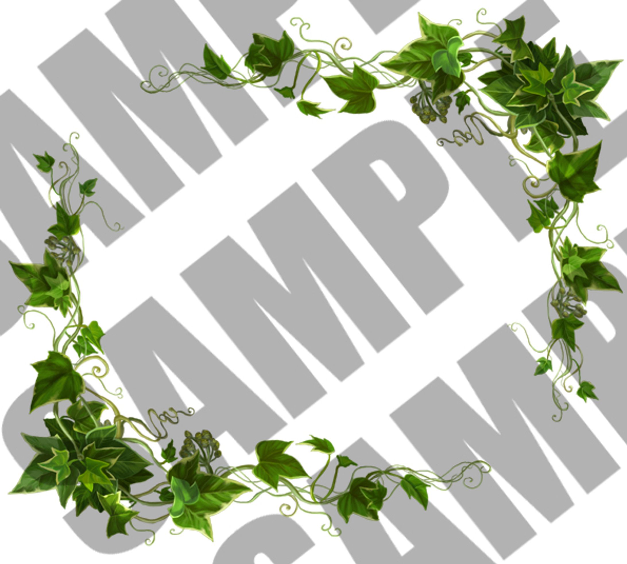 素材販売 ツタ枠 -1