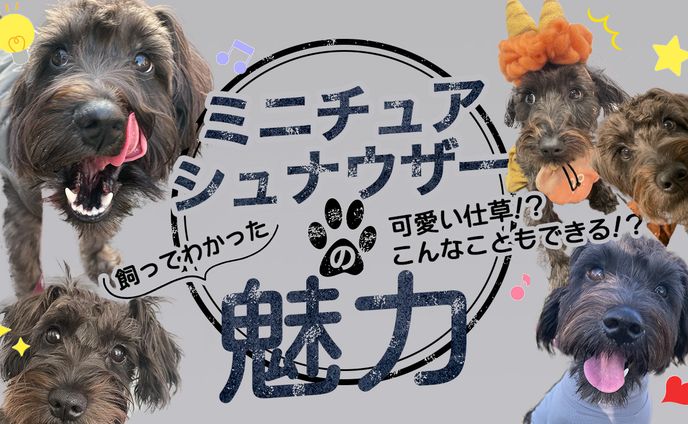 綺麗系、youtubeサムネイル