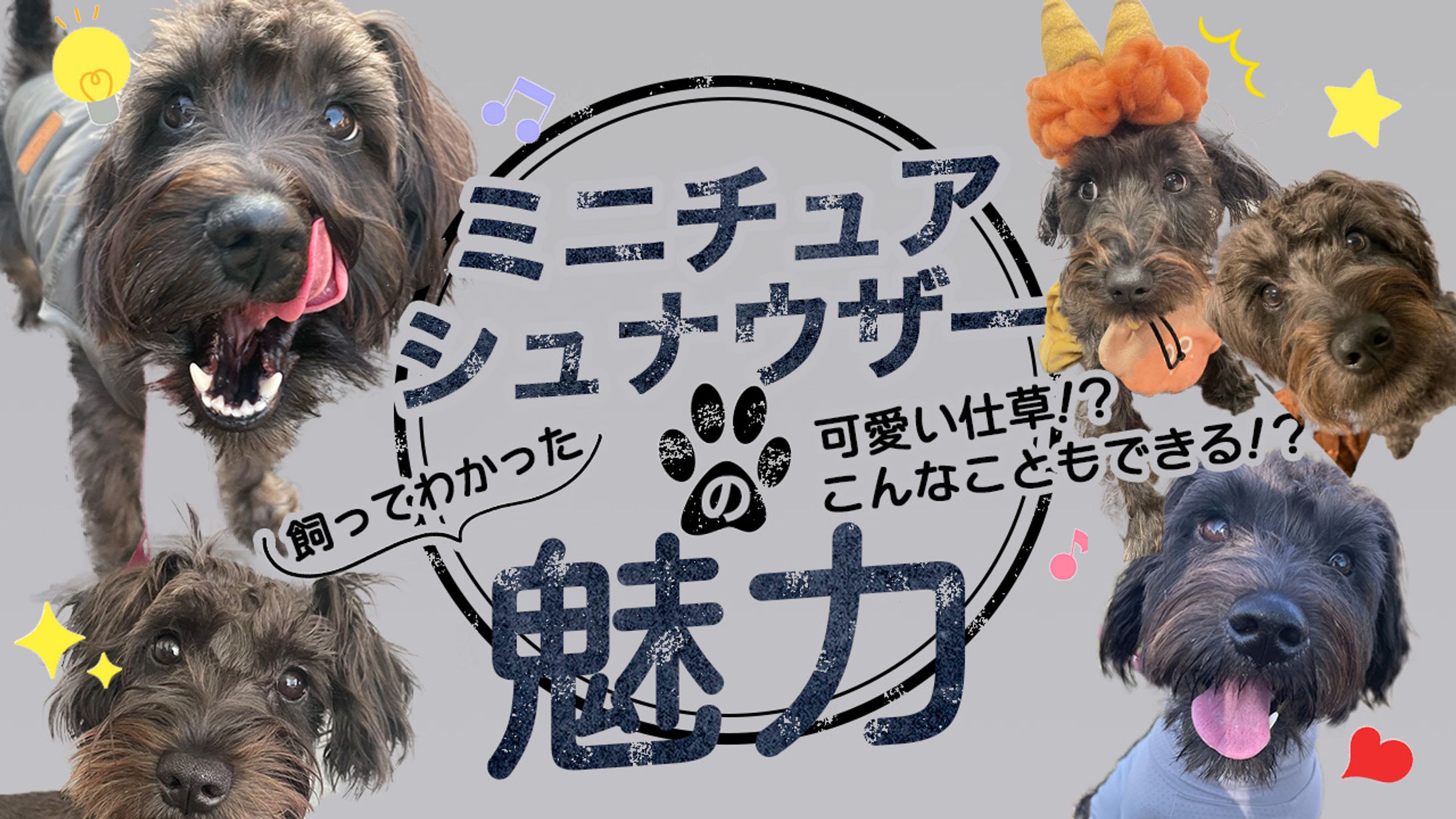 YouTubeサムネイル２-1