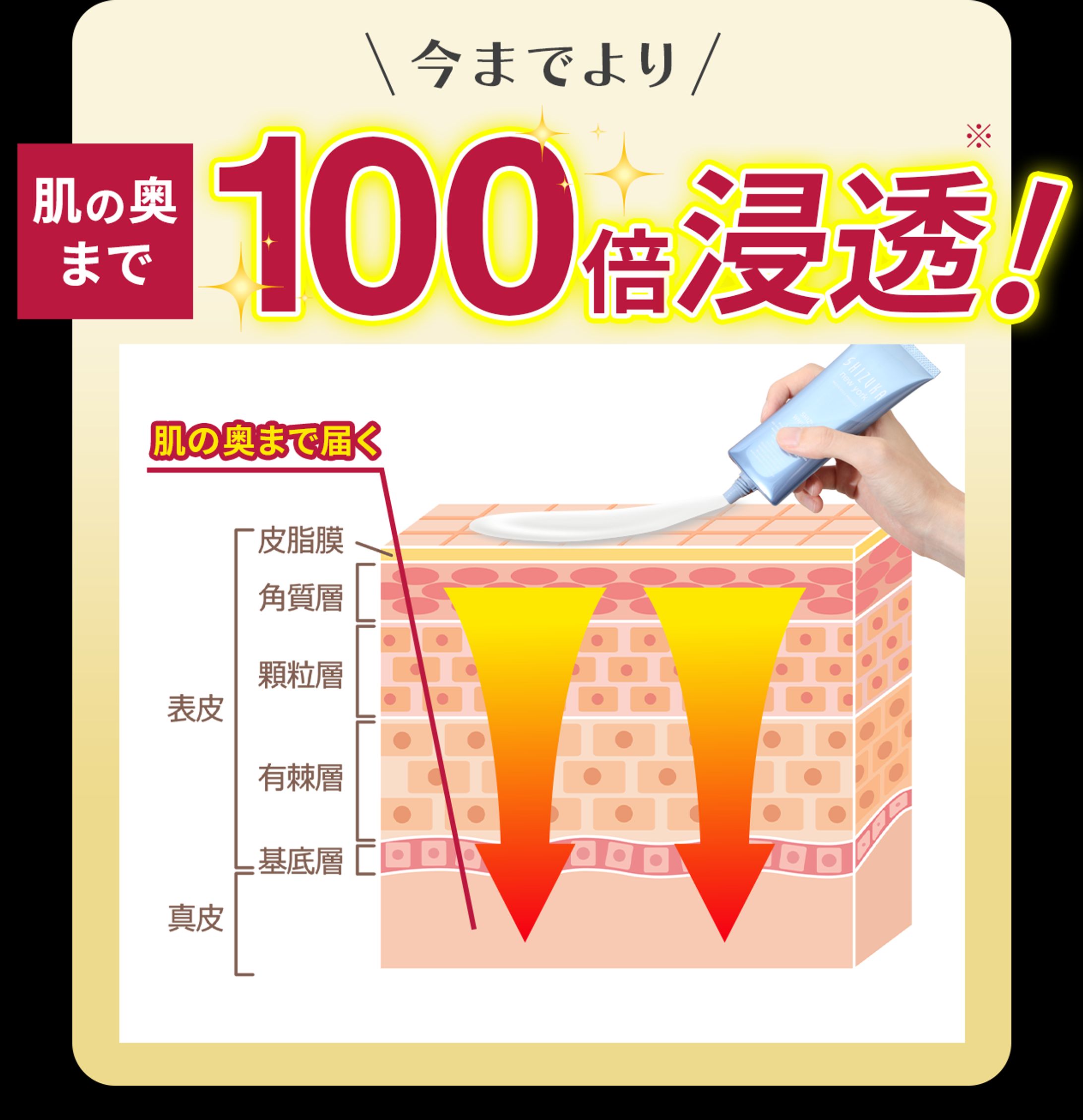 LP用画像作成　シズカホワイトゲル-1