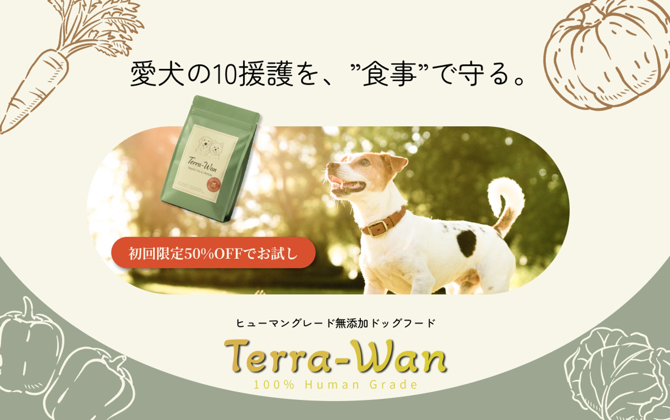 ドッグフード広告バナー-1