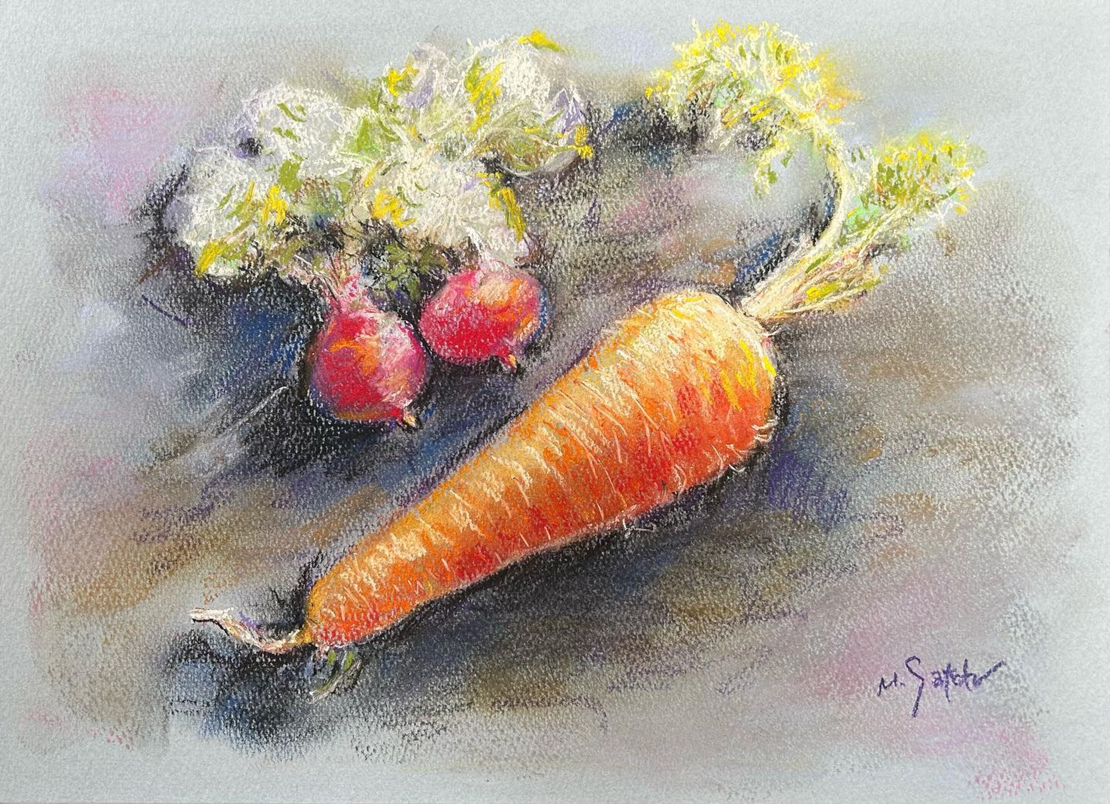 「人参とラディッシュ」
ソフトパステル　Museパステル紙　F4

#パステル #パステル画 #ソフトパステル #pastel #pastelpainting #pastelart 
#静物画 #人参 #にんじん #ラディッシュ #ソフトパステル #絵画 #stilllife #carrot #radish-1