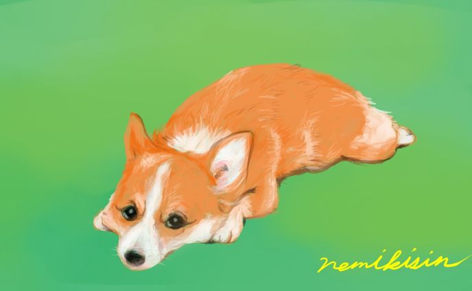 ウェルシュ・コーギー
