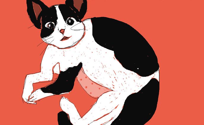 架空のSNS用アイコン1