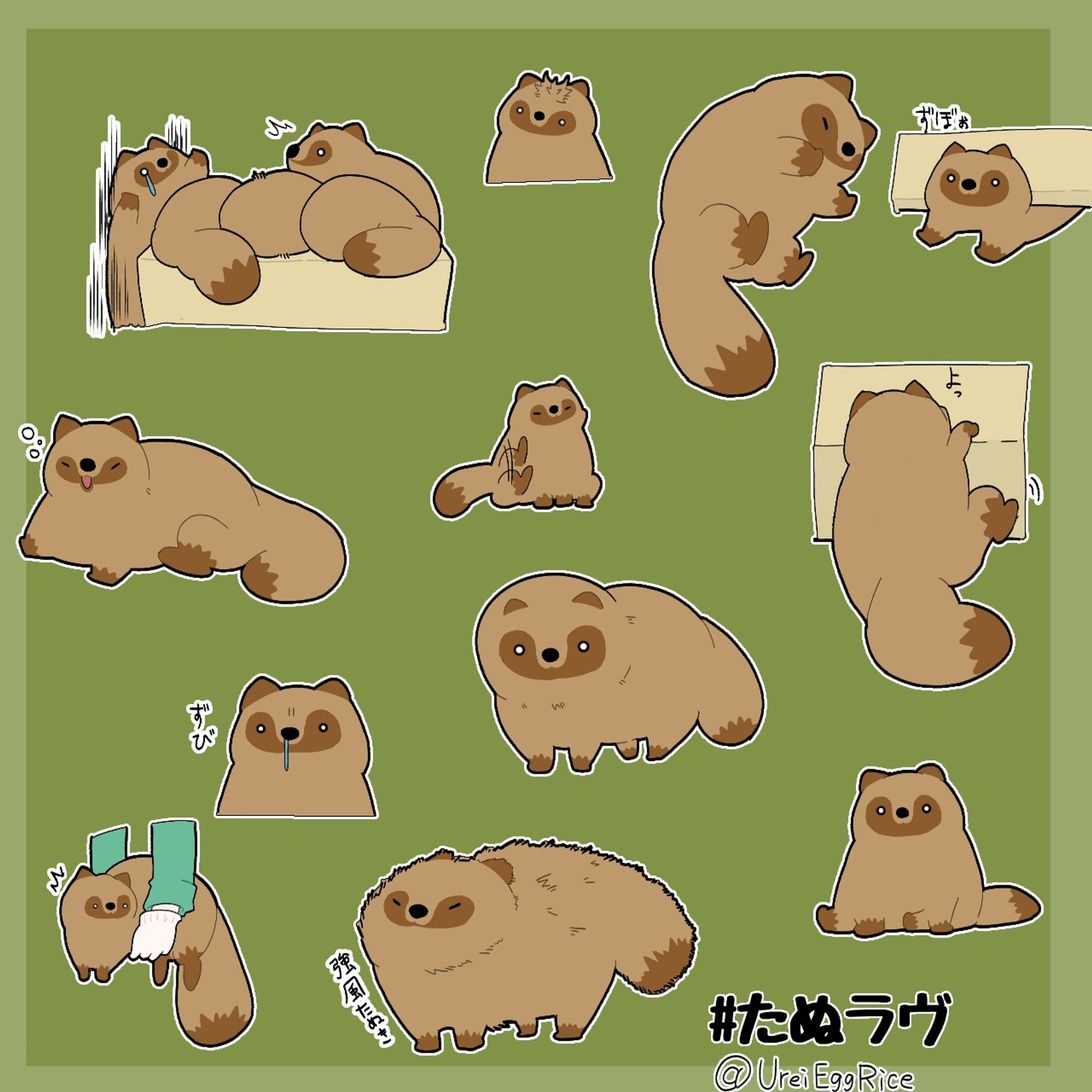 たぬきのイラスト