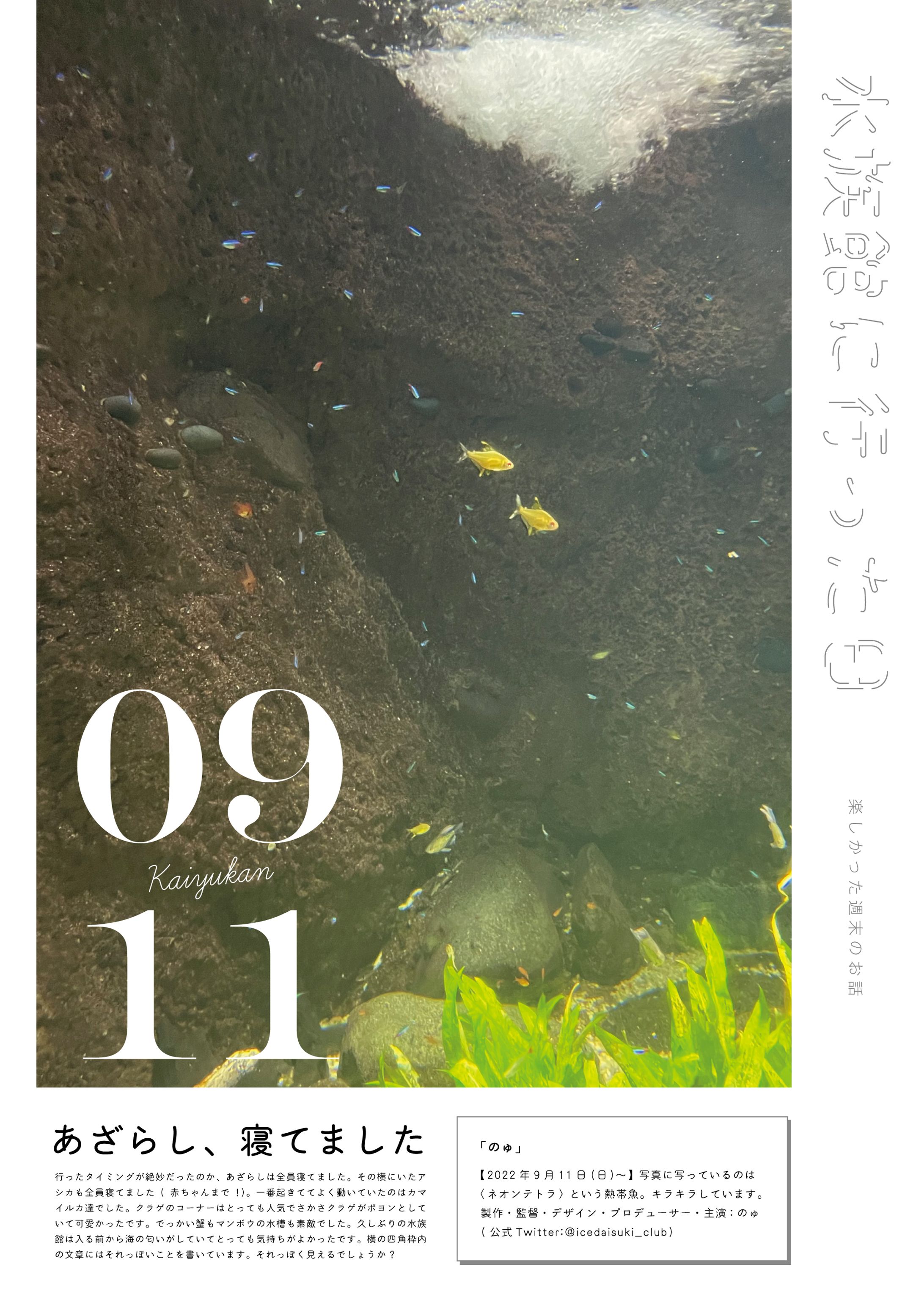 水族館に行った日-1