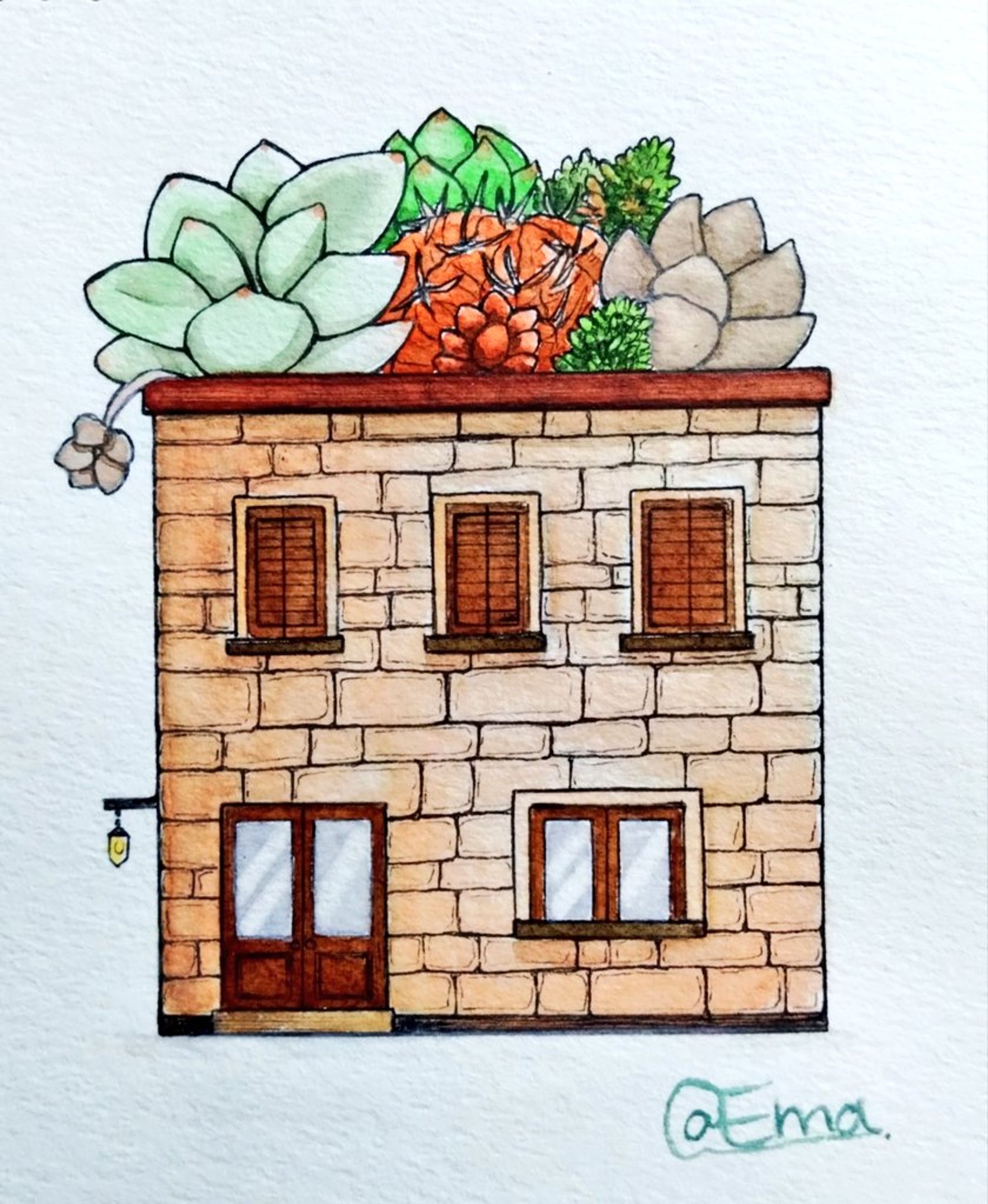 Succulent House-1