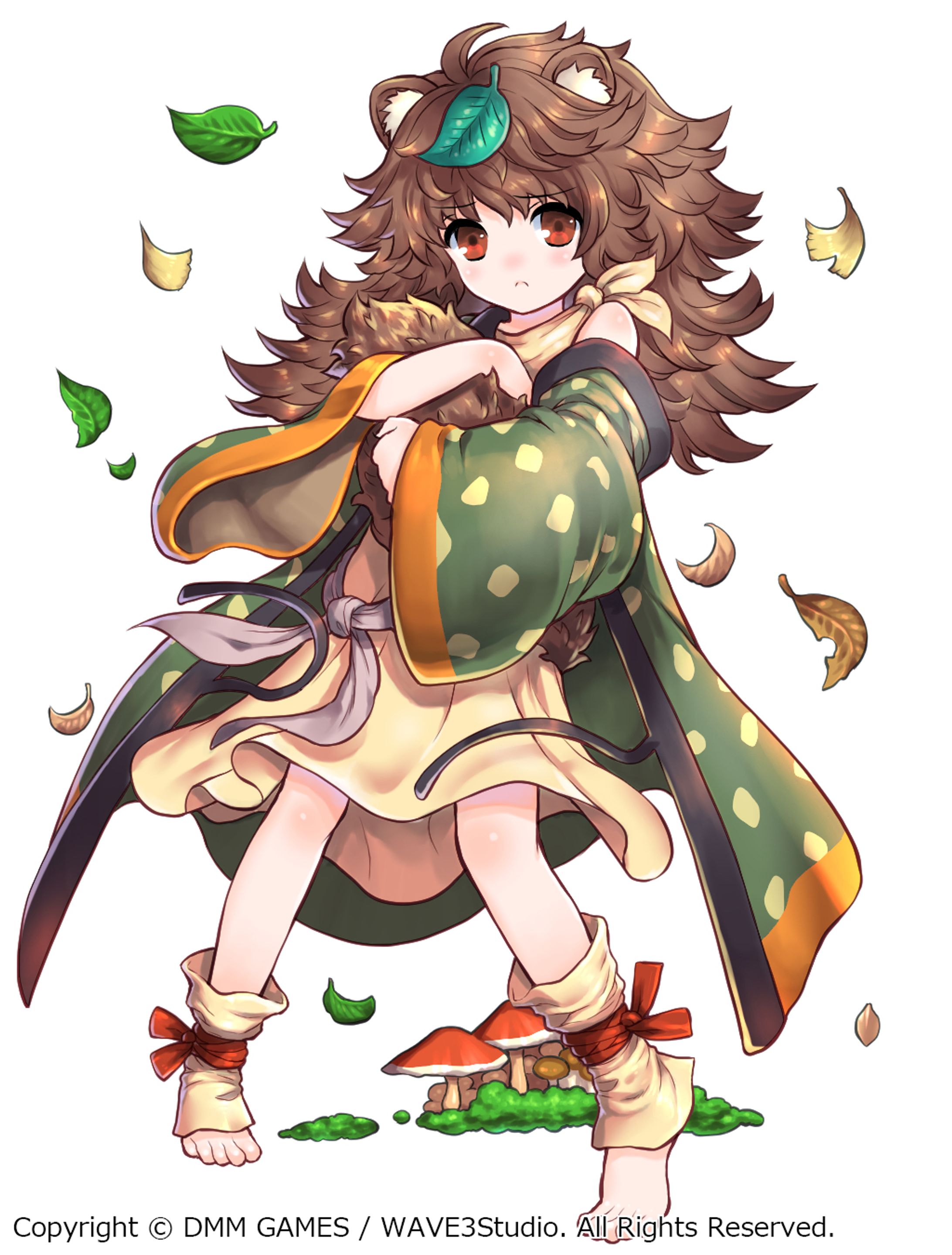 タヌキ-1