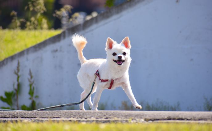 2019 写真　Photoshop にて編集