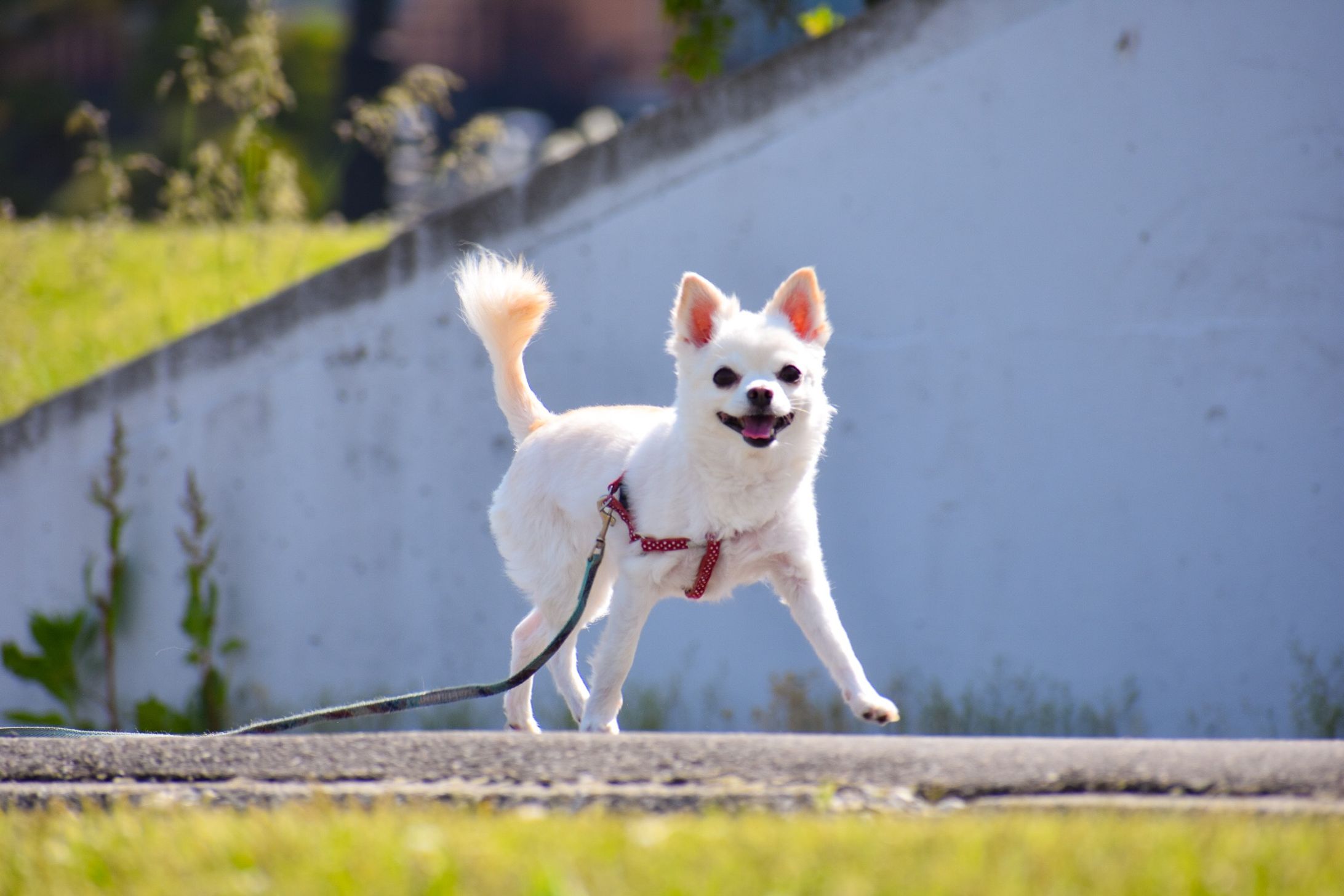 2019 写真　Photoshop にて編集-1