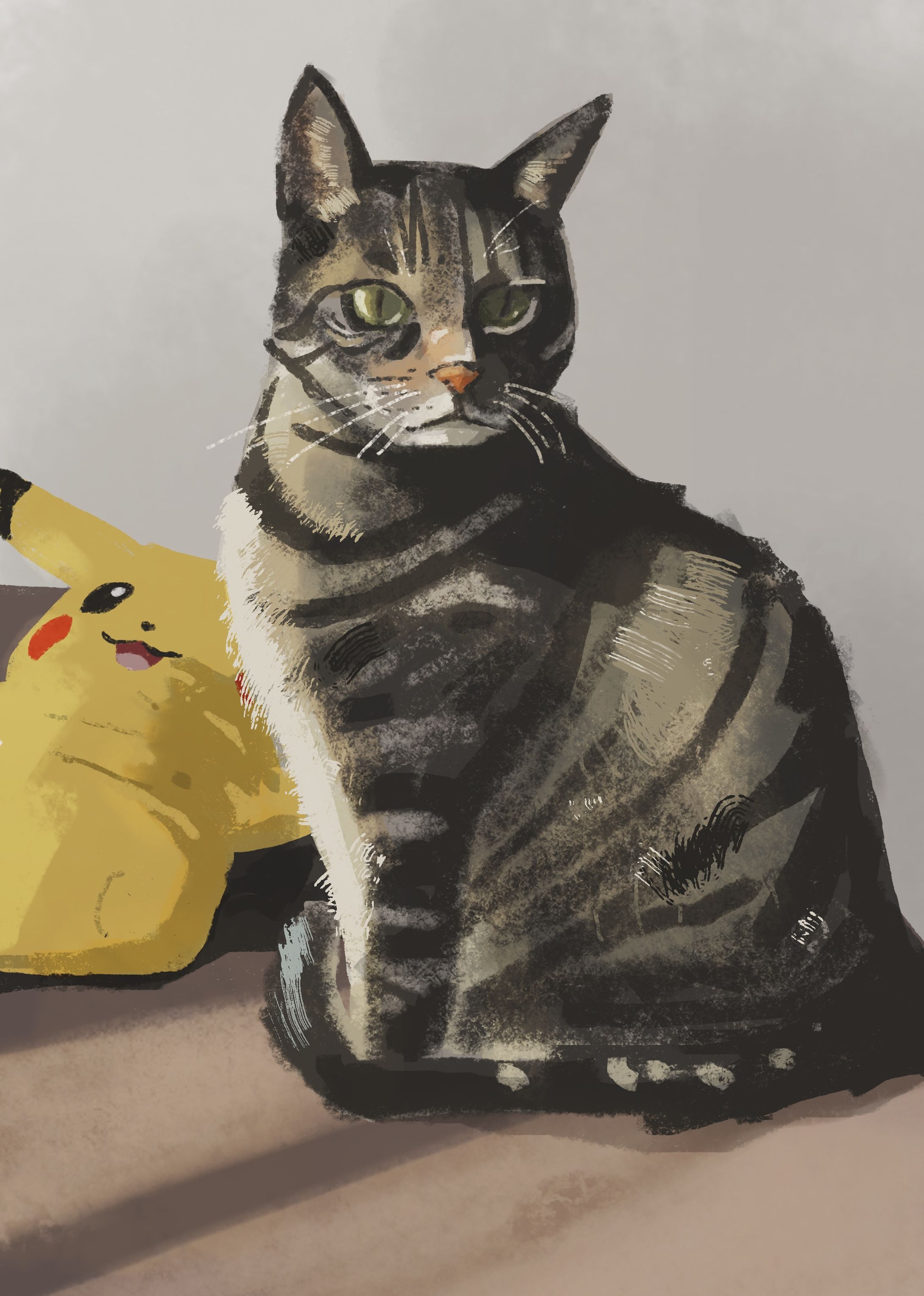 cat-1